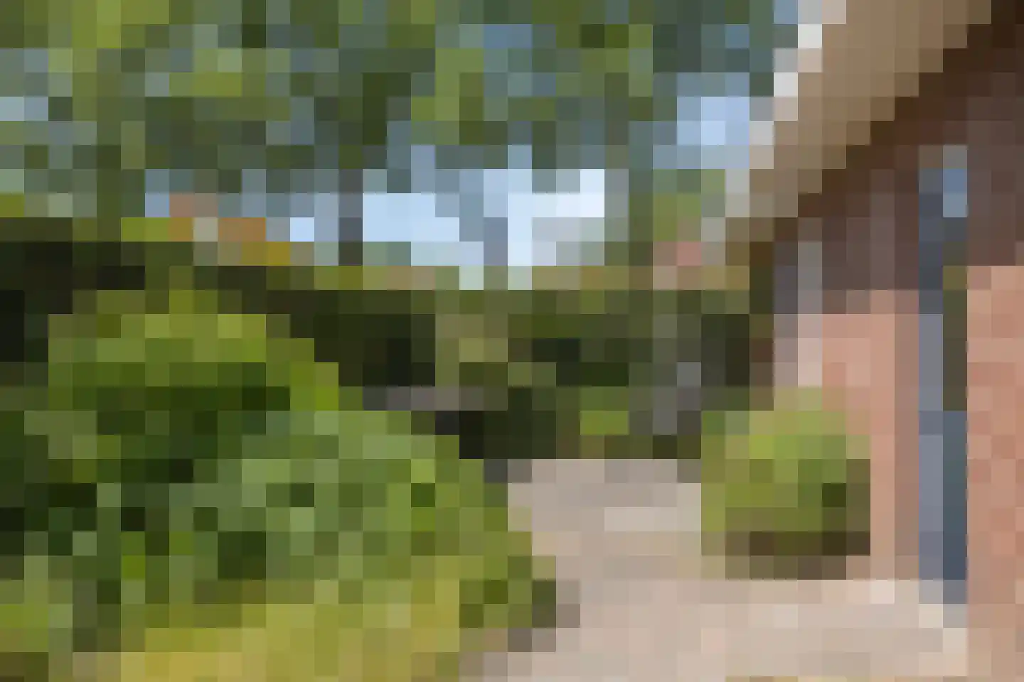 Kampsestraat 29 Angeren thumbnail 48