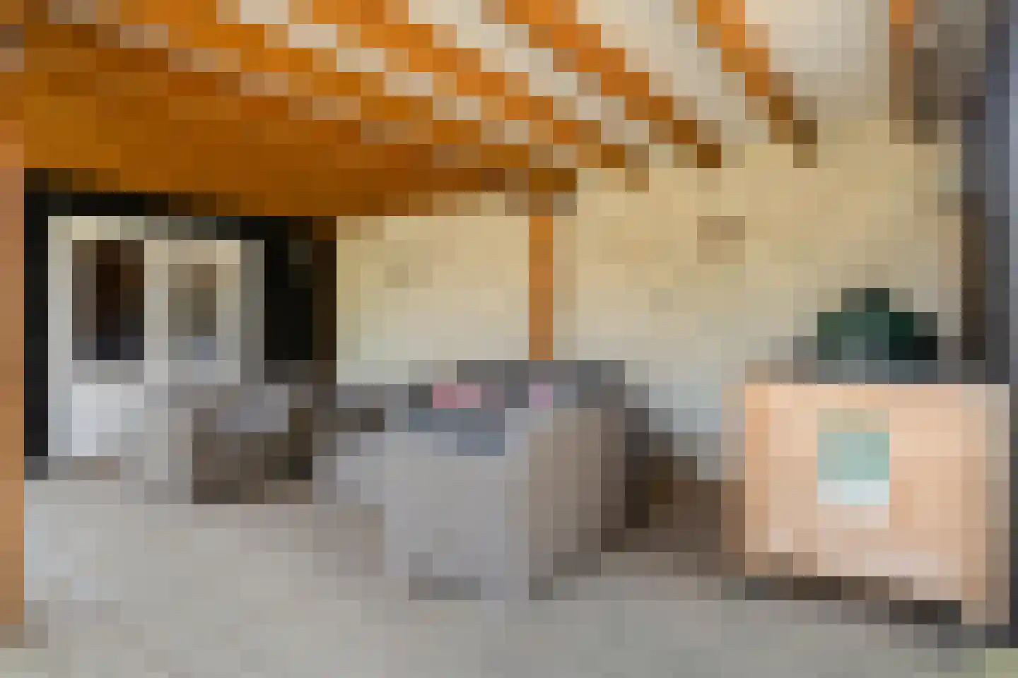 Kampsestraat 29 Angeren thumbnail 51