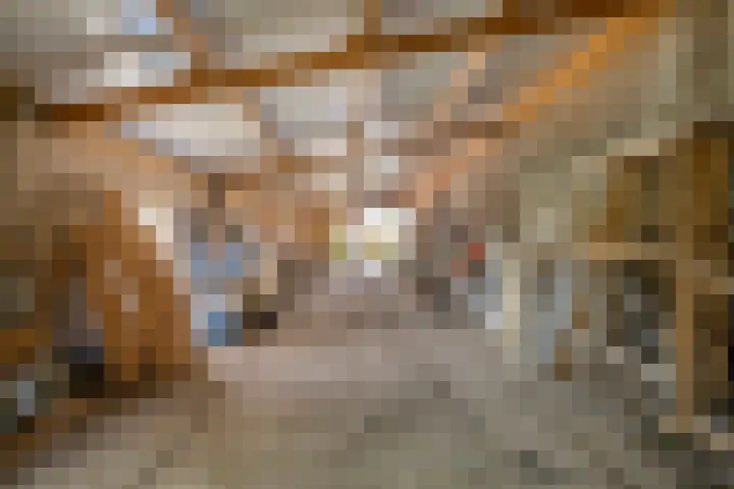 Kampsestraat 29 Angeren thumbnail 56