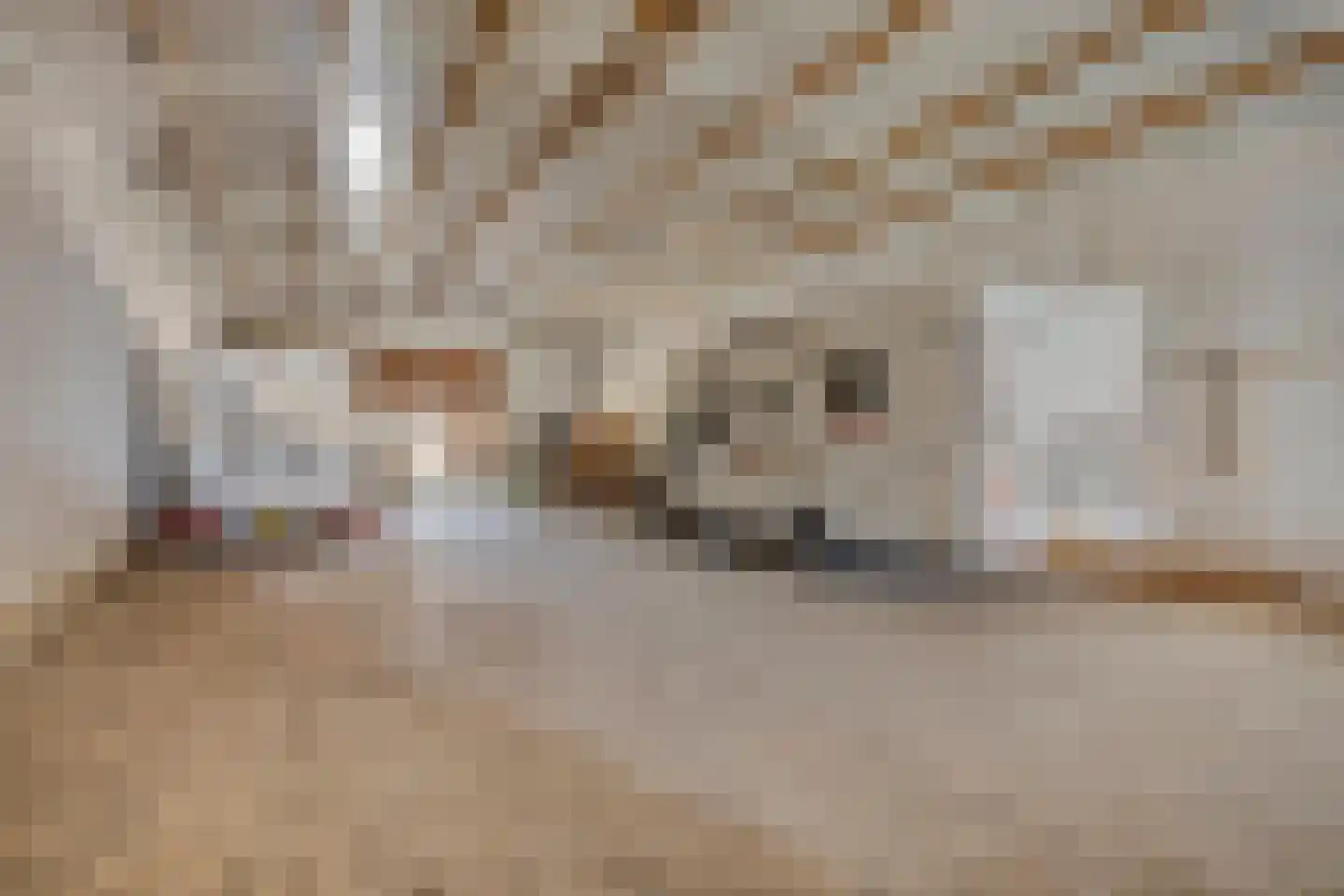 Kampsestraat 29 Angeren thumbnail 57