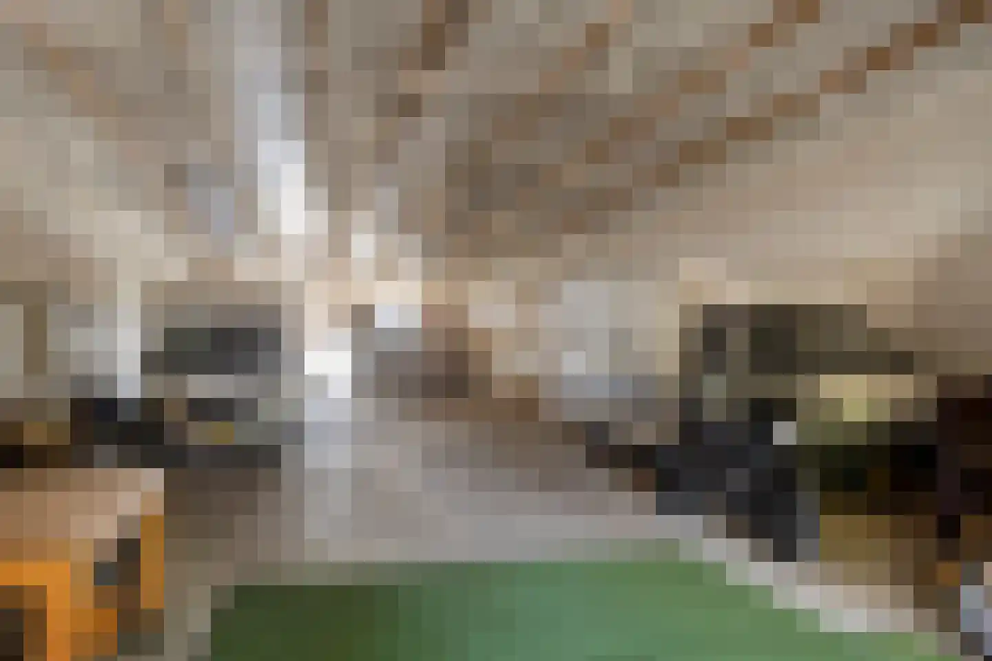 Kampsestraat 29 Angeren thumbnail 58