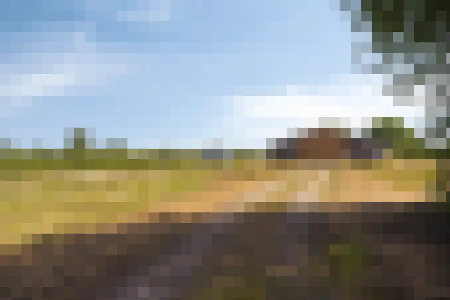 Kampsestraat 29 Angeren thumbnail 62
