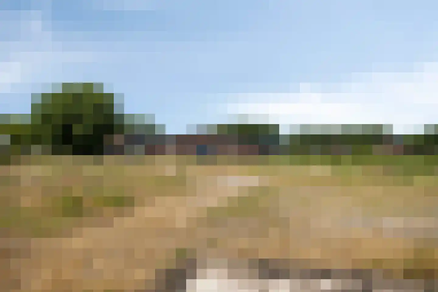 Kampsestraat 29 Angeren thumbnail 65