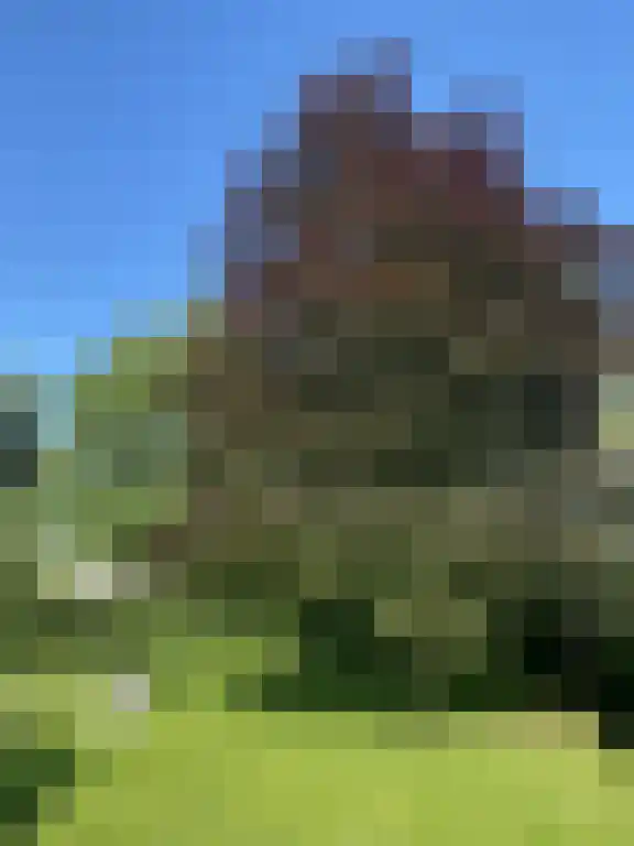 Kampsestraat 3 a Boven-Leeuwen thumbnail 4