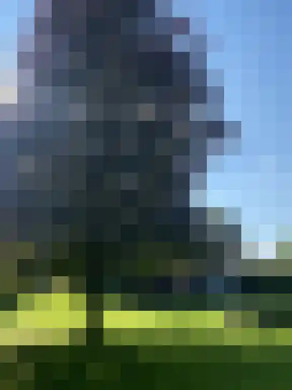 Kampsestraat 3 a Boven-Leeuwen thumbnail 5