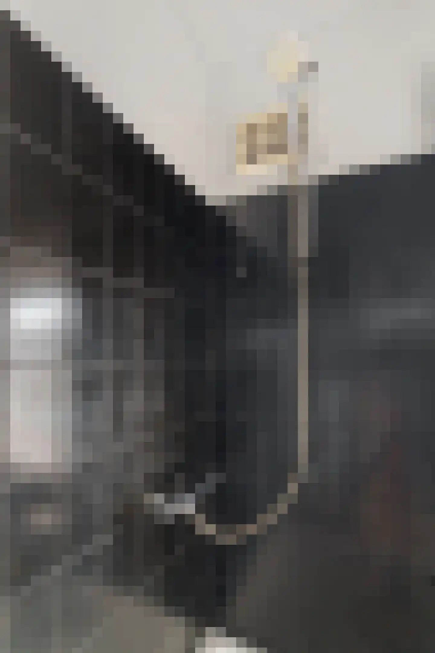 Kampsestraat 36 Haps thumbnail 31