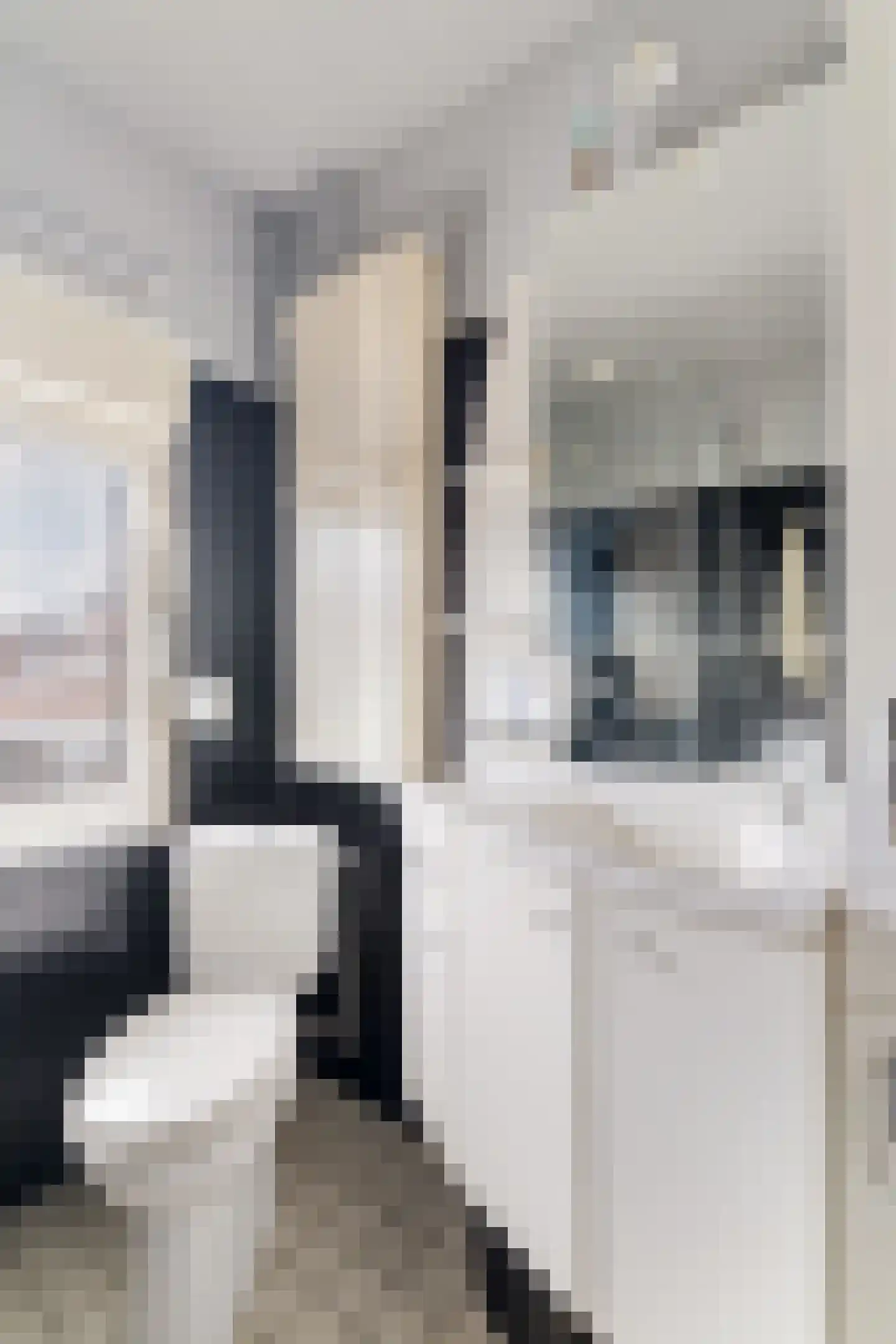 Kampsestraat 36 Haps thumbnail 32