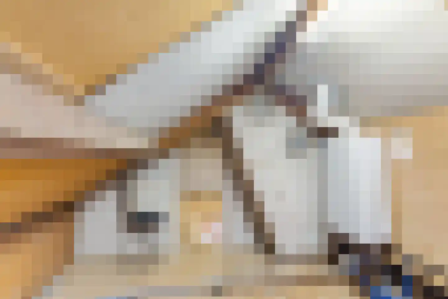 Kampsestraat 36 Haps thumbnail 36