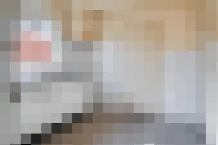 Kampsestraat 38 Haps thumbnail 12