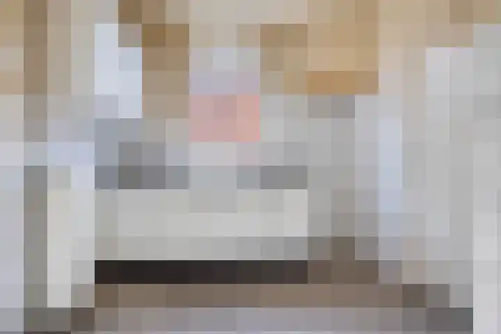 Kampsestraat 38 Haps thumbnail 13