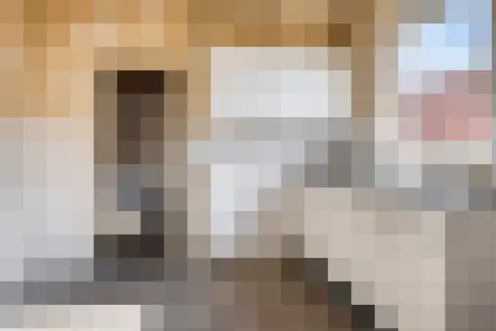 Kampsestraat 38 Haps thumbnail 14