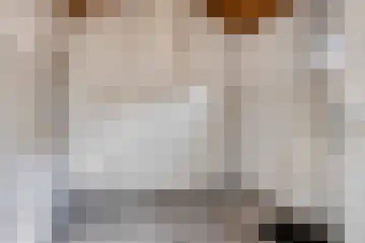 Kampsestraat 38 Haps thumbnail 15