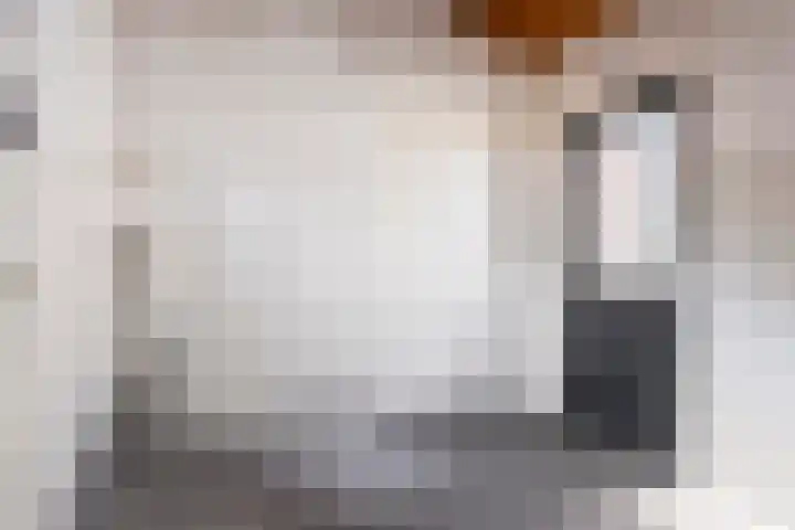 Kampsestraat 38 Haps thumbnail 16