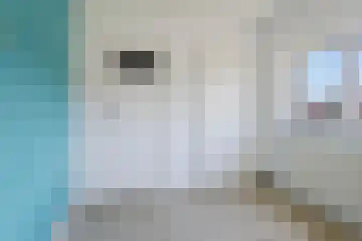 Kampsestraat 38 Haps thumbnail 21