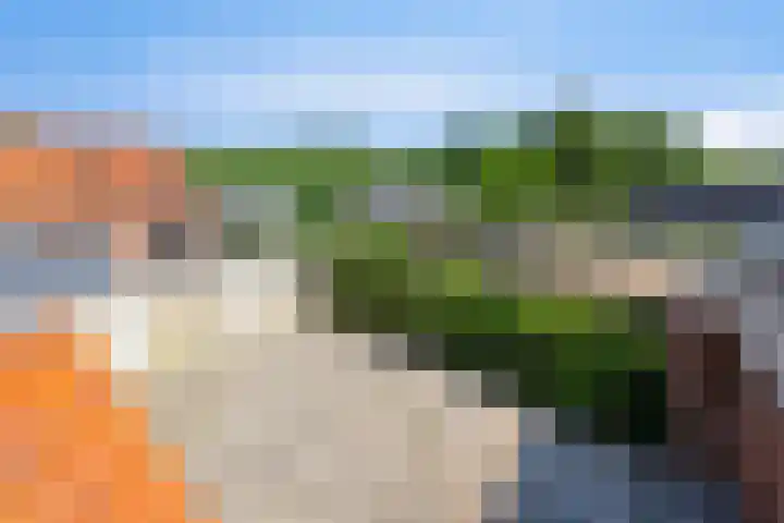 Kampsestraat 38 Haps thumbnail 23