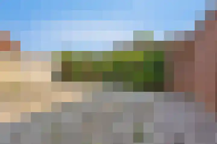 Kampsestraat 38 Haps thumbnail 25