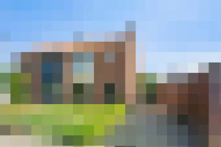 Kampsestraat 38 Haps thumbnail 5