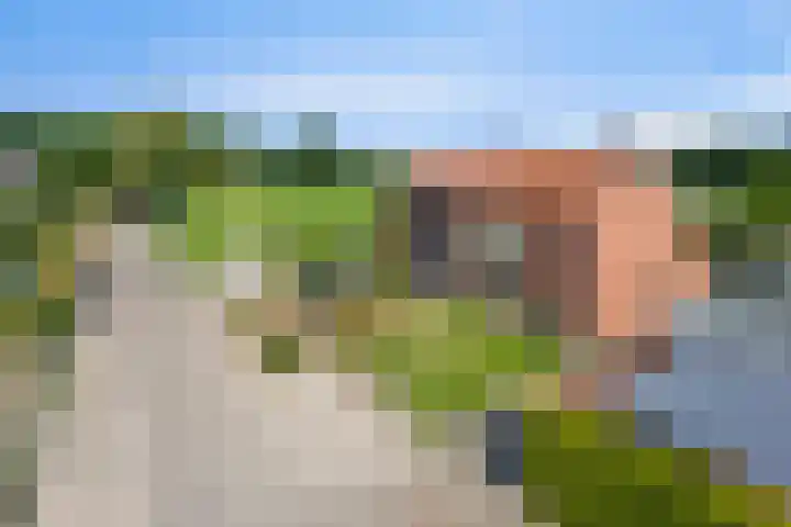 Kampsestraat 38 Haps thumbnail 7