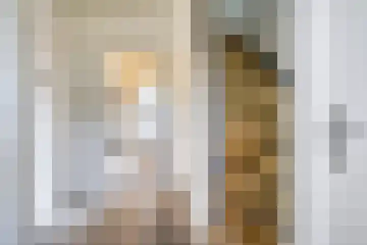 Kampsestraat 38 Haps thumbnail 8