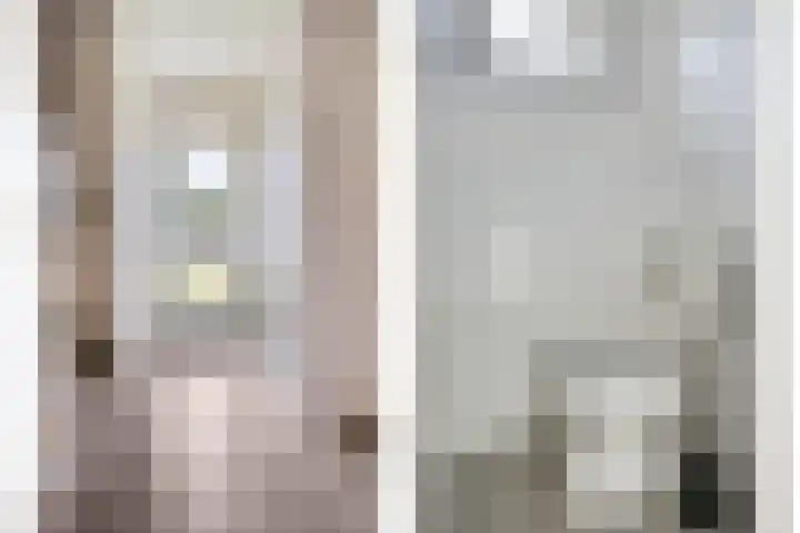 Kampsestraat 38 Haps thumbnail 9