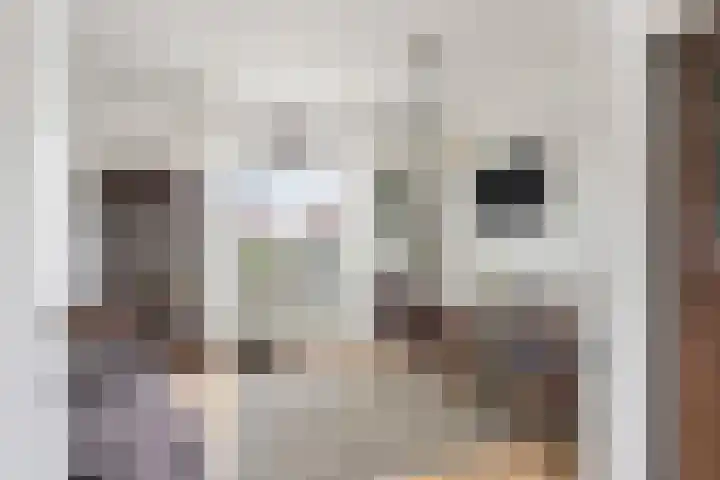 Kampsestraat 9 Angeren thumbnail 11