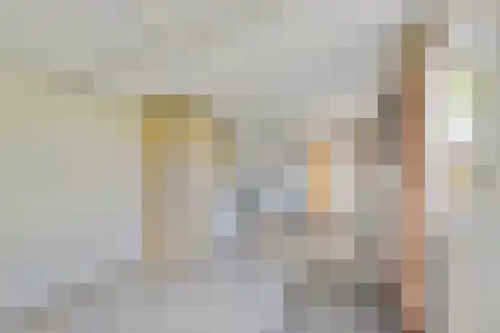 Kampsestraat 9 Angeren thumbnail 15