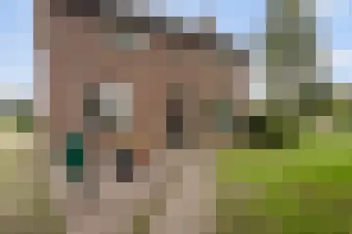 Kampsestraat 9 Angeren thumbnail 19