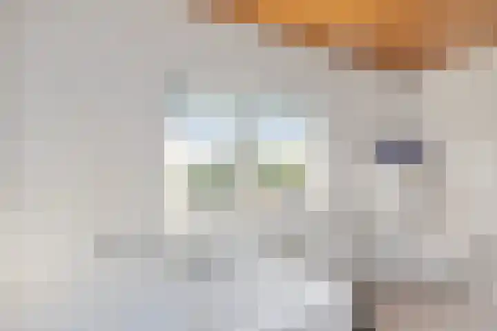 Kampsestraat 9 Angeren thumbnail 28