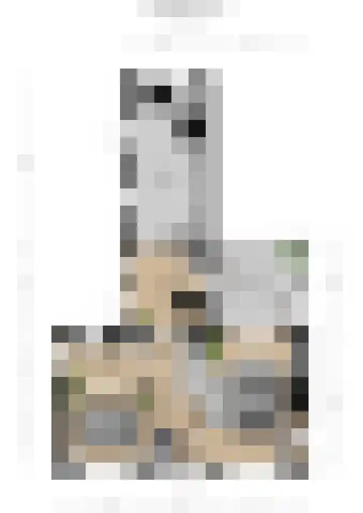 Kampsestraat 9 Angeren thumbnail 30