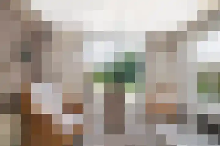 Kampsestraat 9 Angeren thumbnail 6