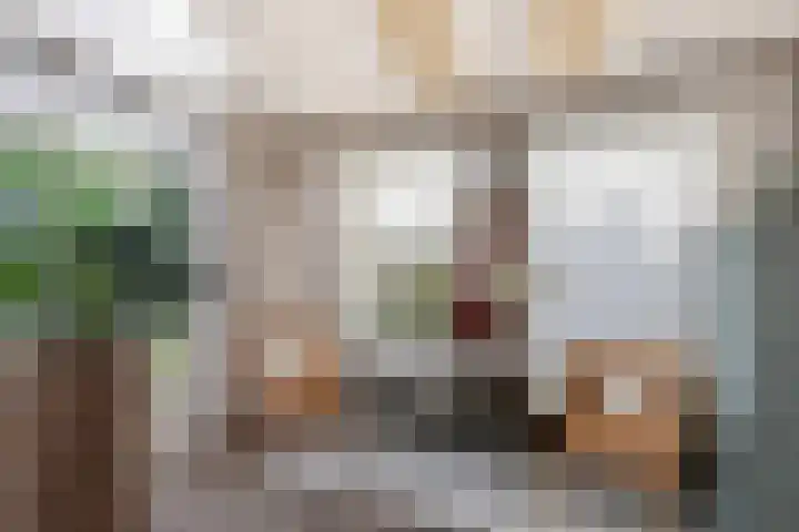 Kampsestraat 9 Angeren thumbnail 7