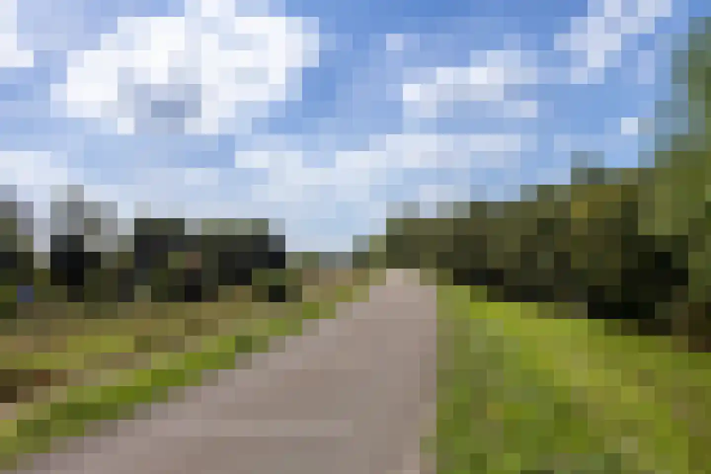 Kampsestraat Boven-Leeuwen thumbnail 10