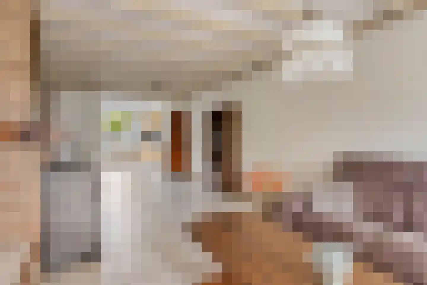 Kampseveld 5 A Den Dungen thumbnail 13