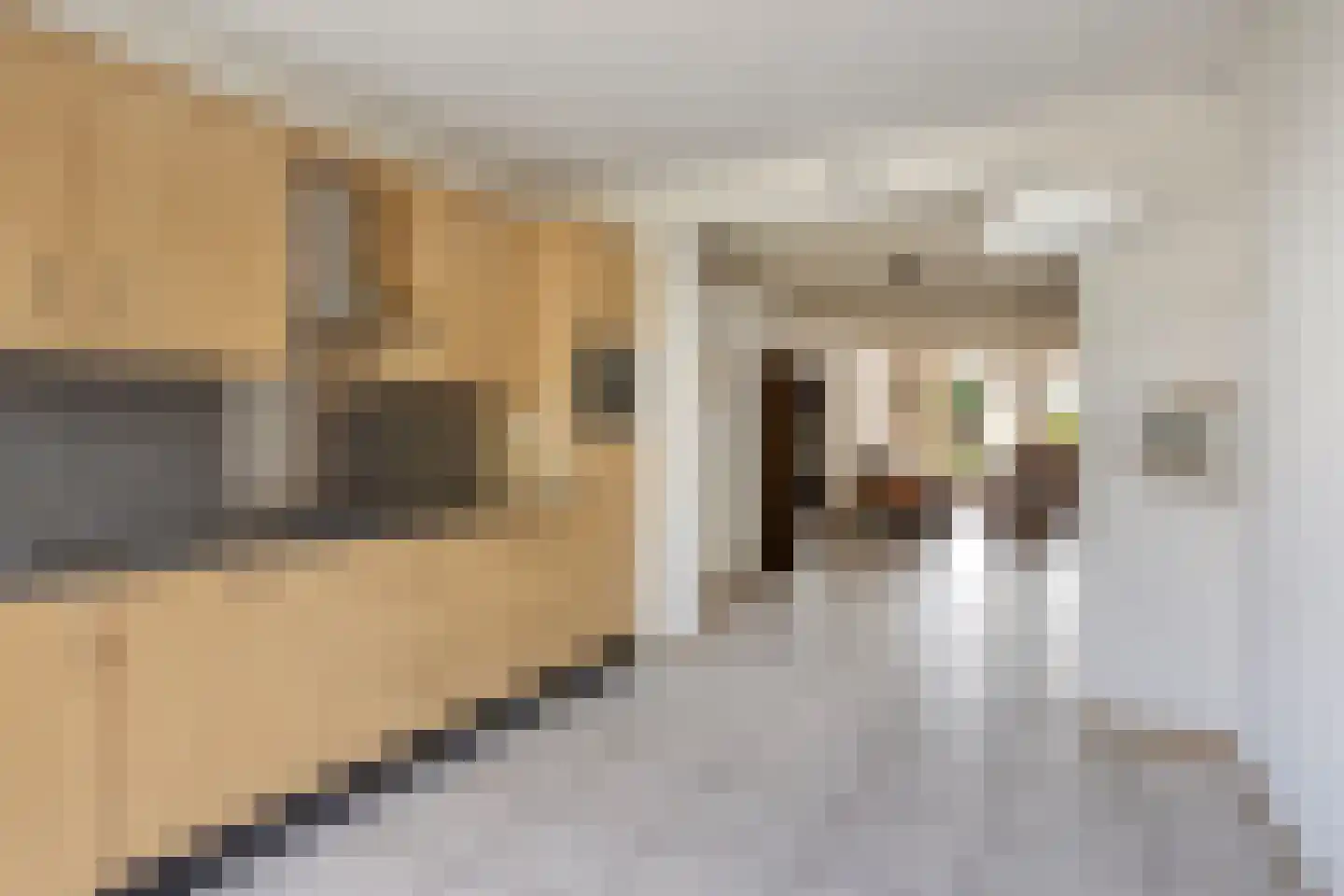 Kampseveld 5 A Den Dungen thumbnail 14