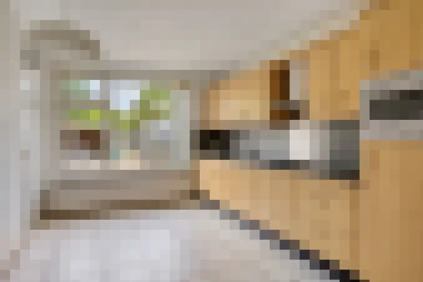 Kampseveld 5 A Den Dungen thumbnail 15