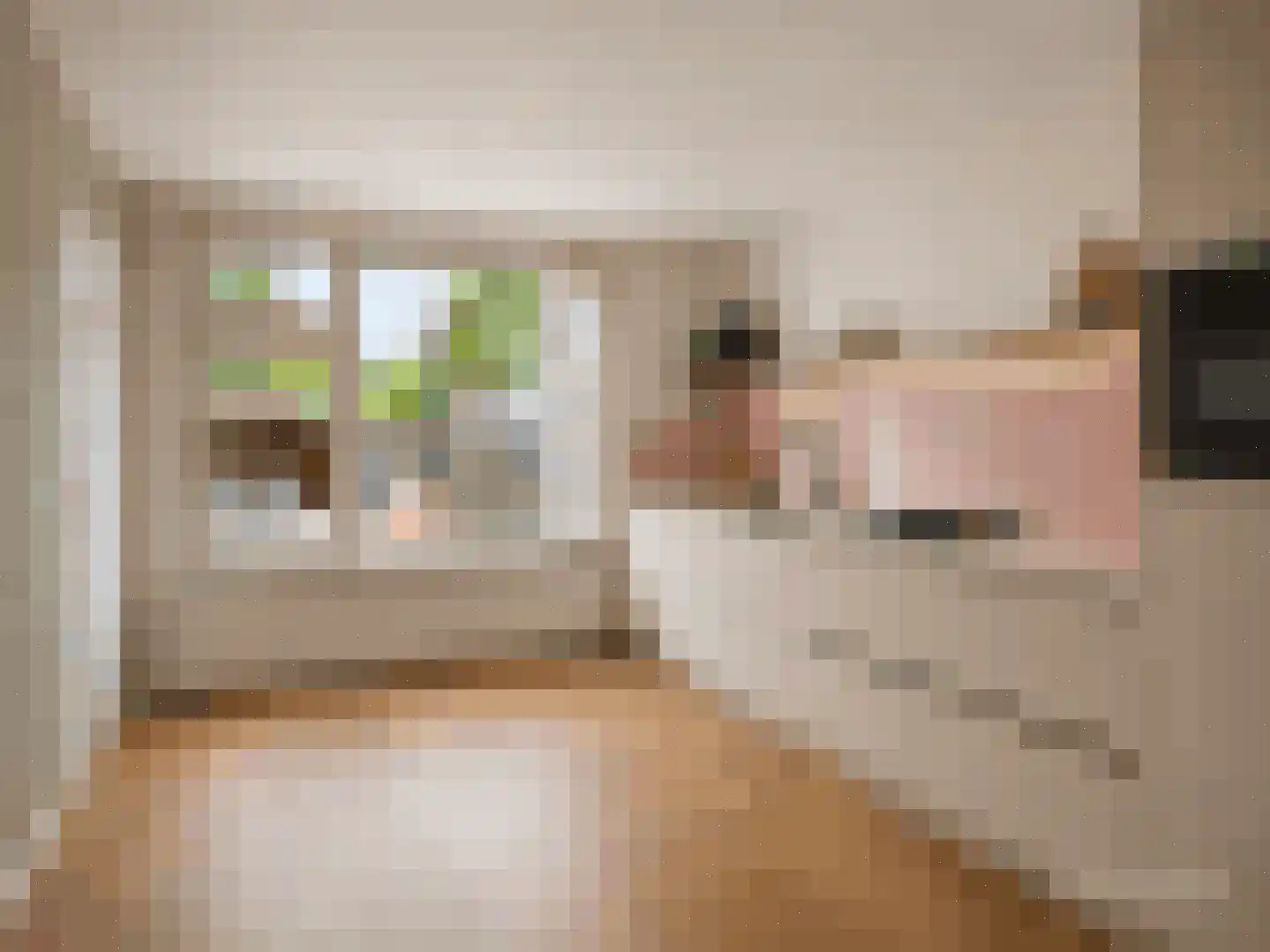 Kampseveld 5 A Den Dungen thumbnail 16