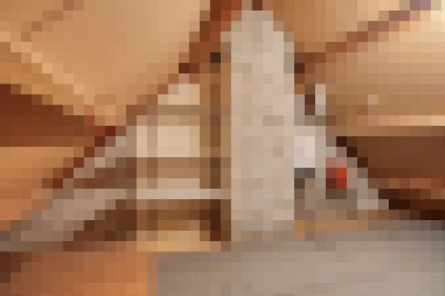 Kampseveld 5 A Den Dungen thumbnail 30