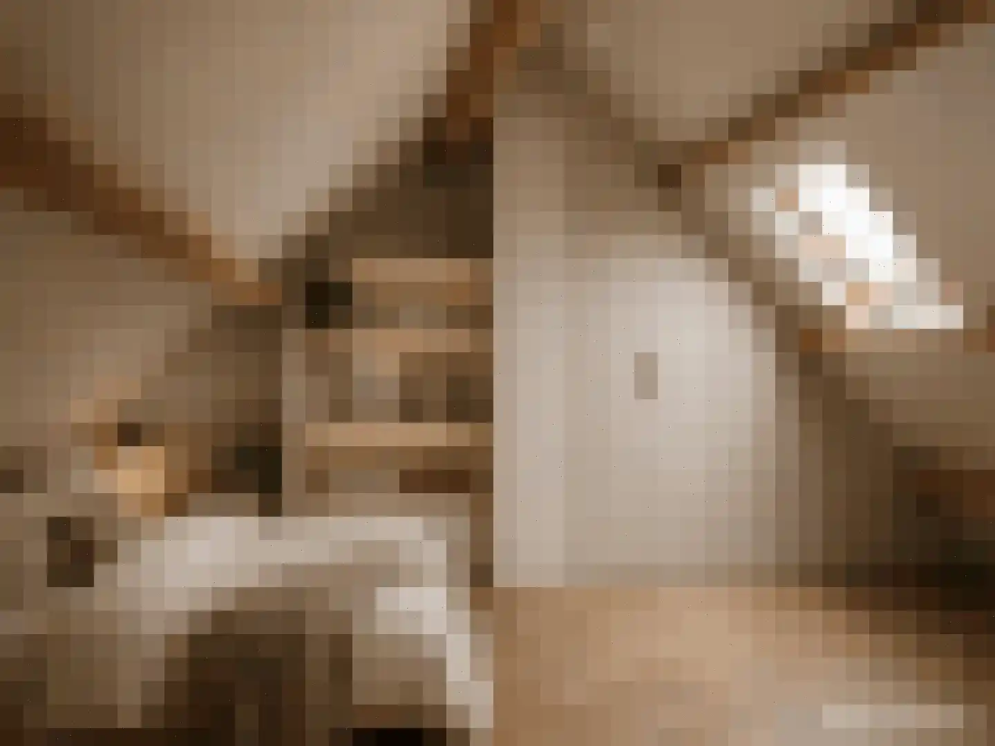 Kampseveld 5 A Den Dungen thumbnail 31
