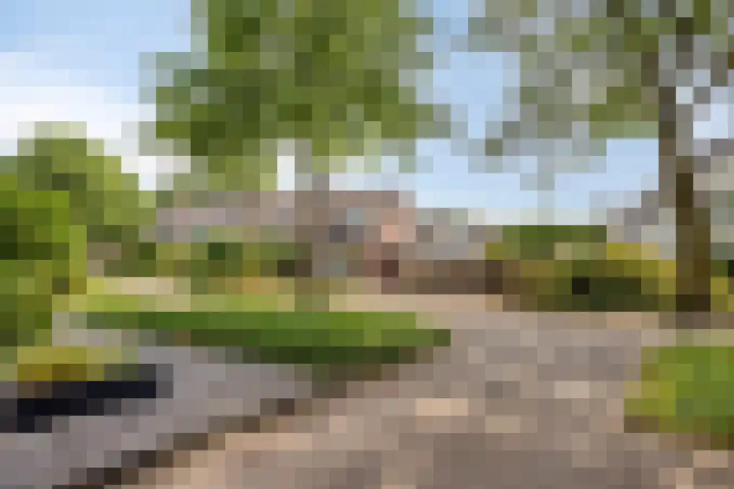Kampseveld 5 A Den Dungen thumbnail 40