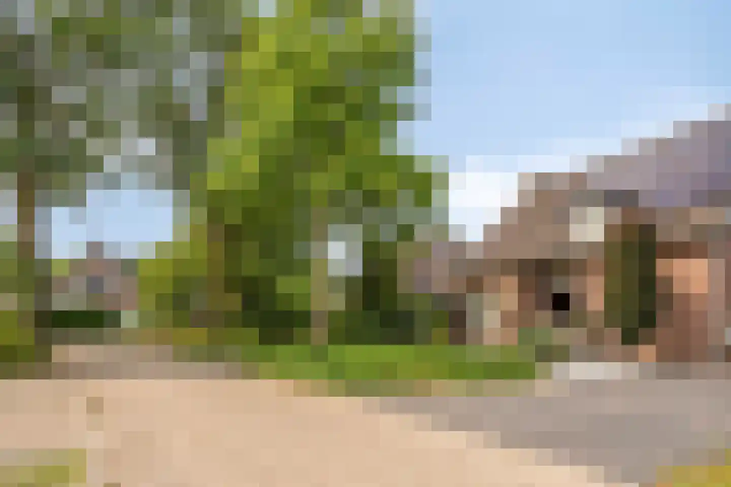 Kampseveld 5 A Den Dungen thumbnail 41