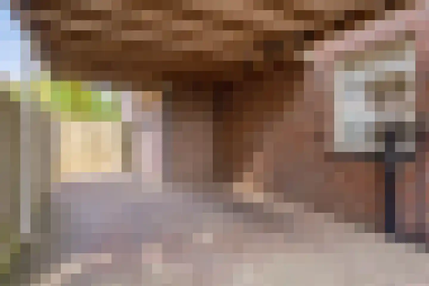 Kampseveld 5 A Den Dungen thumbnail 7