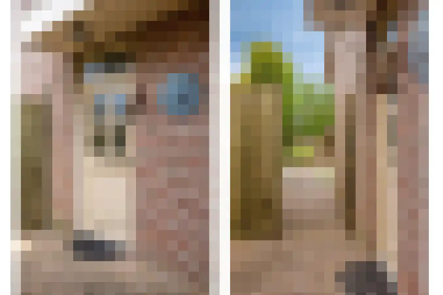 Kampseveld 5 A Den Dungen thumbnail 8