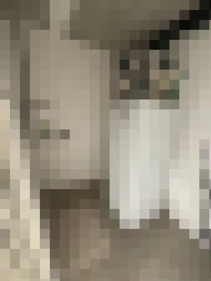 Kampstraat 1 A 3 Beilen thumbnail 17