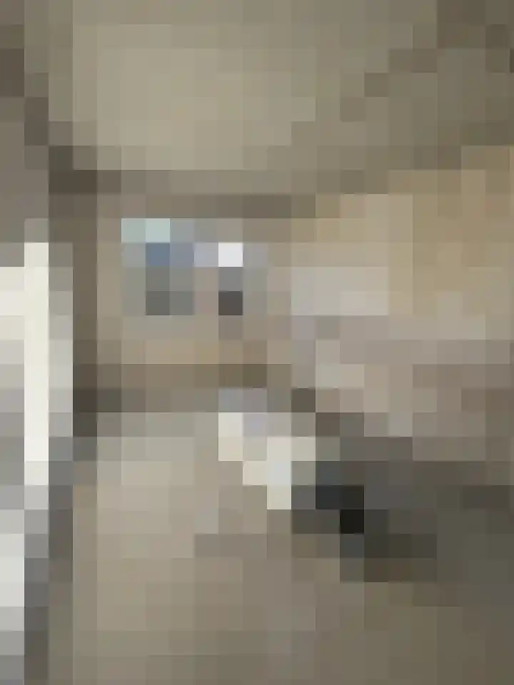 Kampstraat 1 A 3 Beilen thumbnail 19