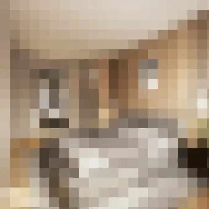Kampstraat 1 A 3 Beilen thumbnail 6