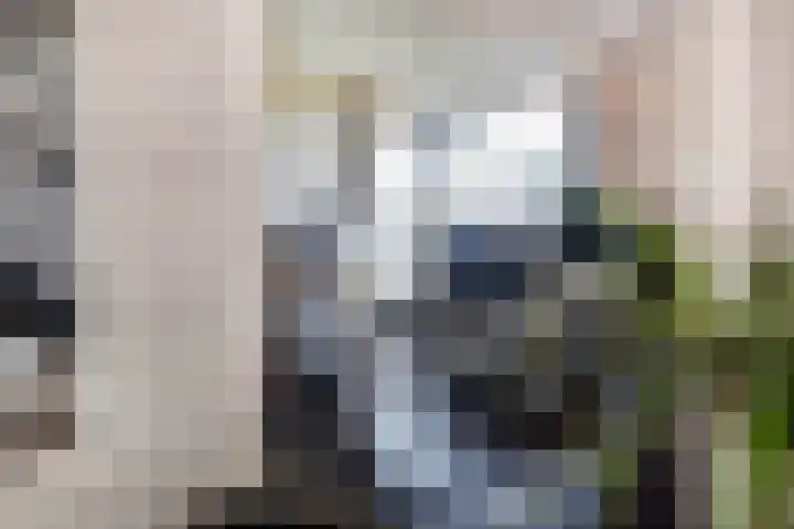 Kampstraat 1 Jabeek thumbnail 14