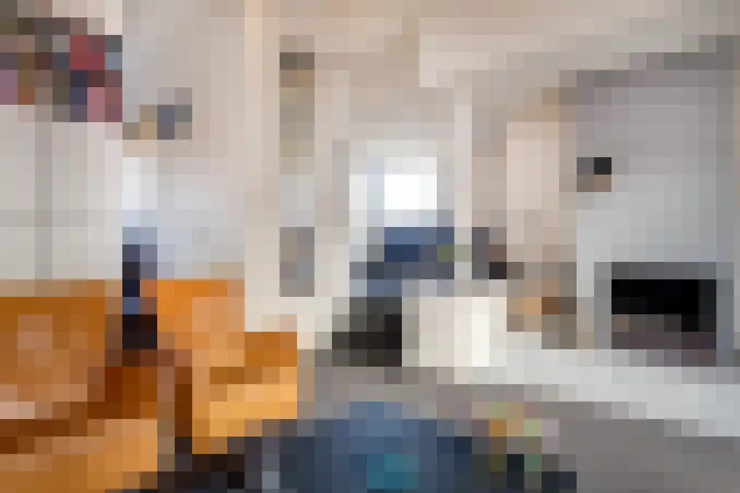 Kampstraat 1 Jabeek thumbnail 14