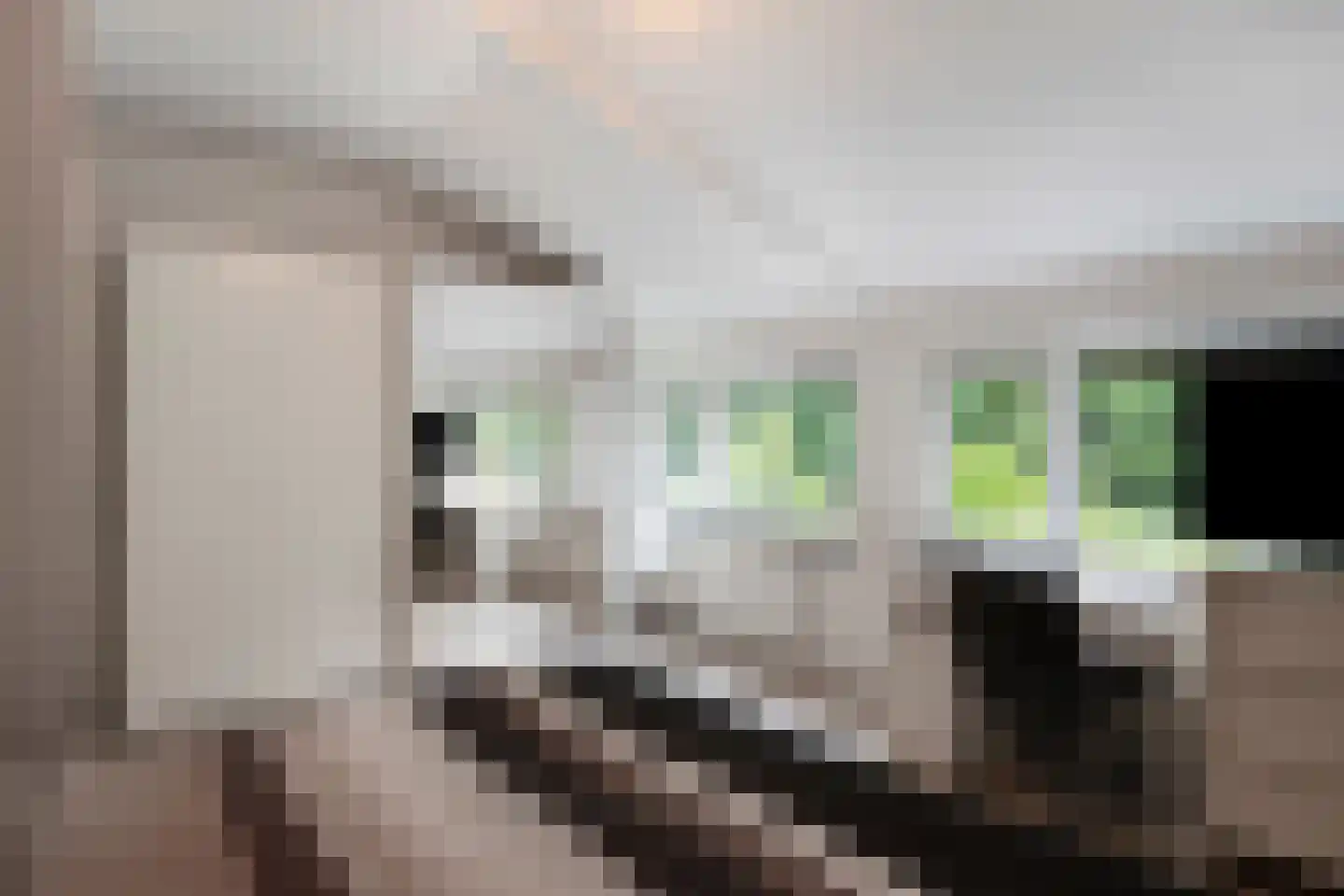 Kampstraat 11 Buchten thumbnail 23