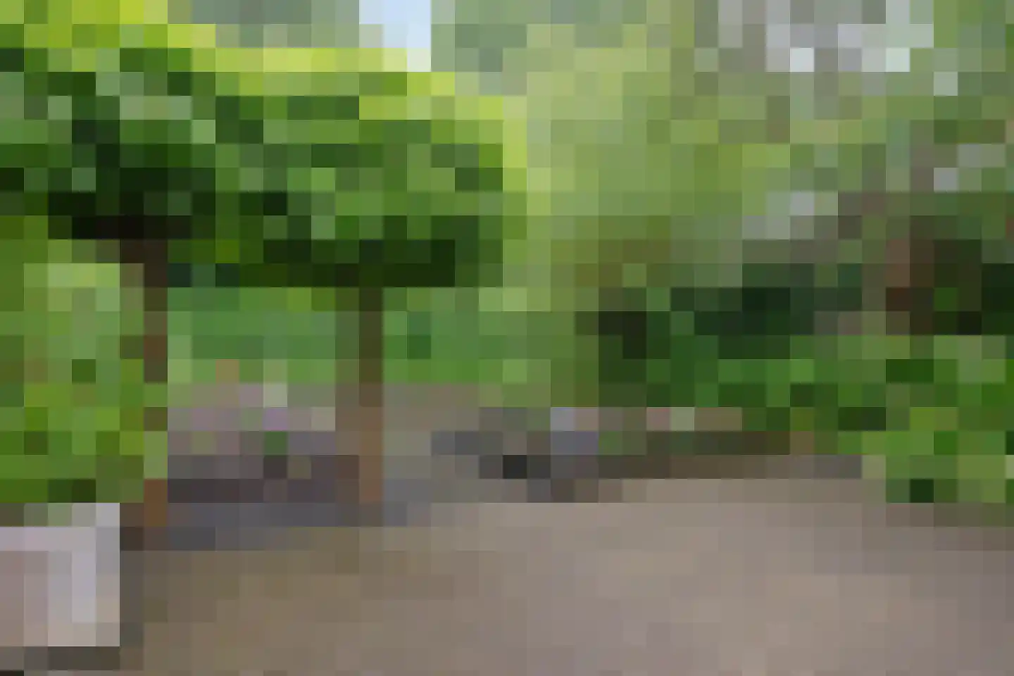 Kampstraat 11 Buchten thumbnail 39