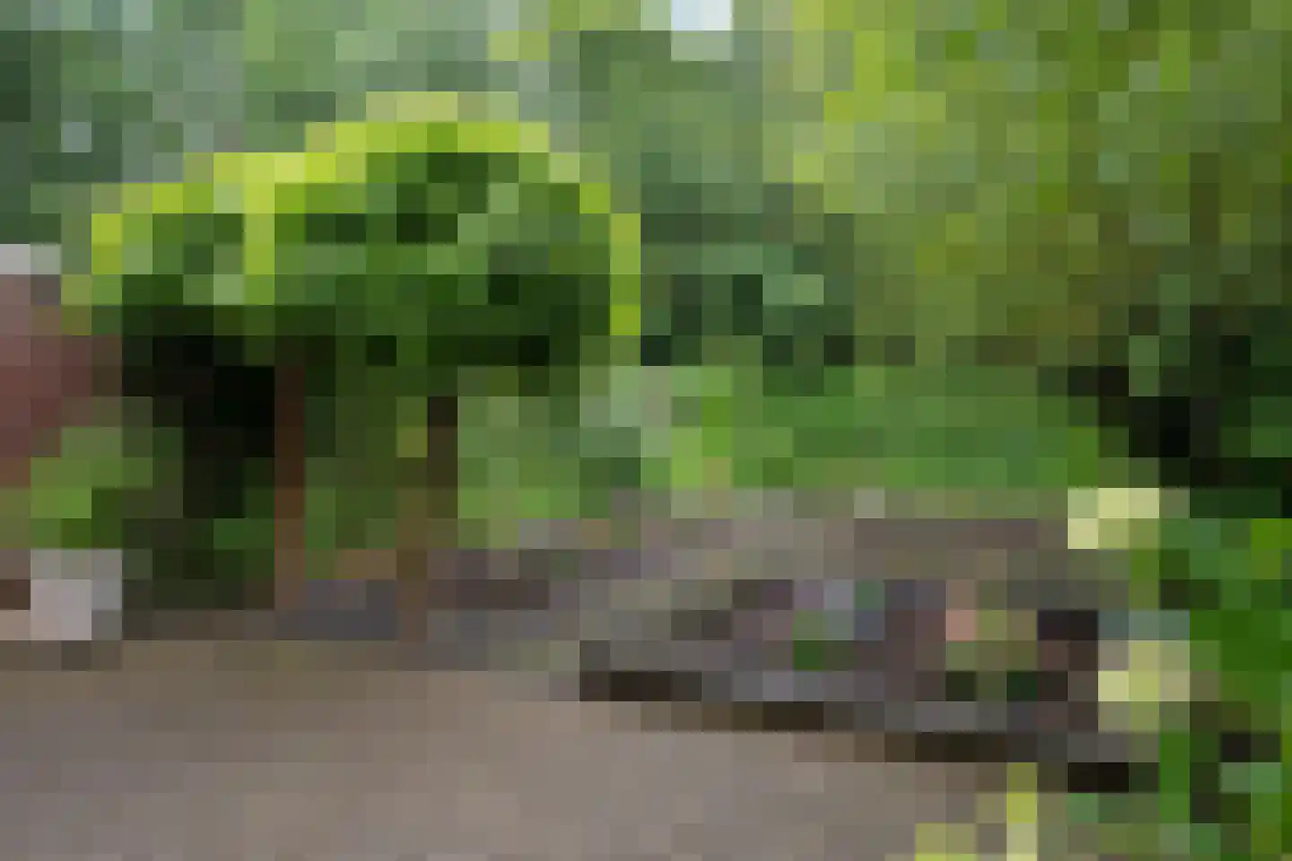 Kampstraat 11 Buchten thumbnail 40